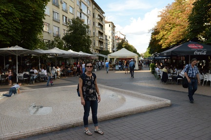 Erynn Vitosha Street